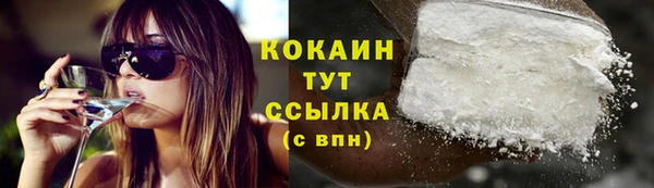гидра Богданович