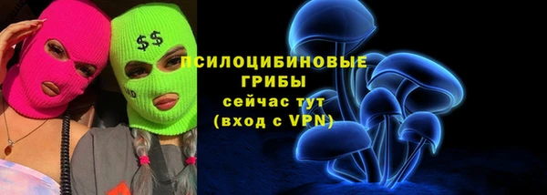 spice Богородицк