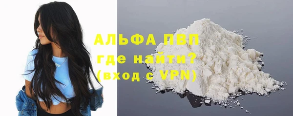гидра Богданович