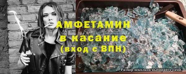 гидра Богданович