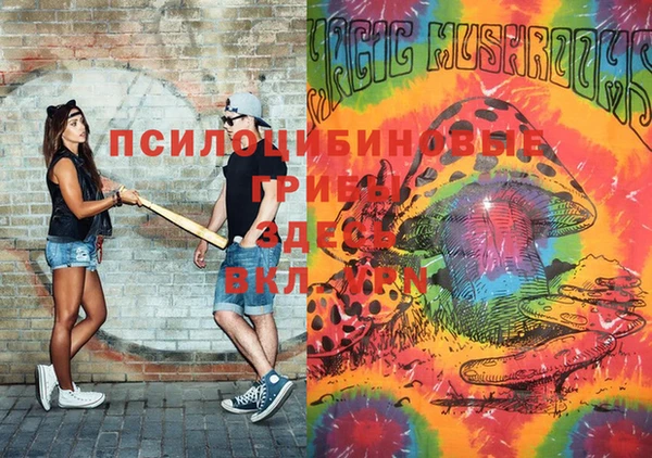 гидропоника Бронницы