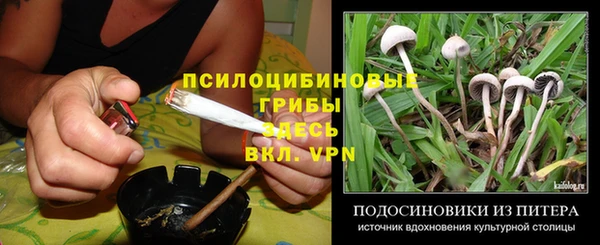 spice Богородицк