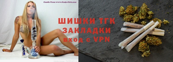 spice Богородицк