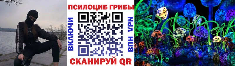 Псилоцибиновые грибы мицелий Княгинино